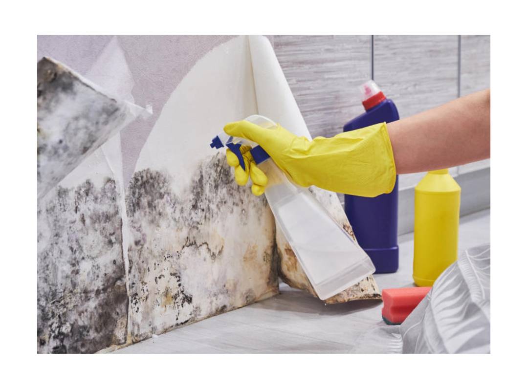 Cleaning mould with sponge and bleach